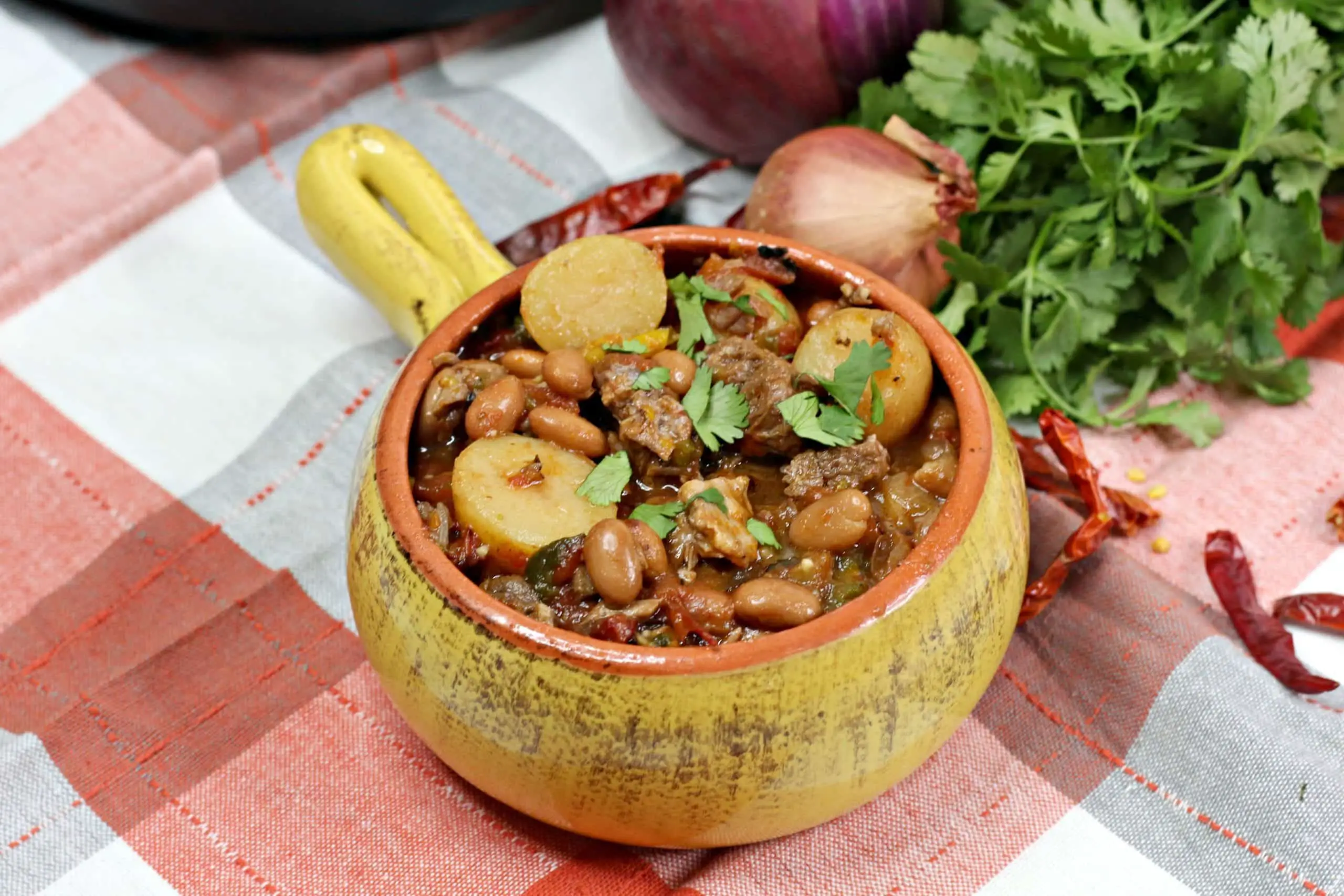 Instant Pot Mexican Stew, Spanish Stew