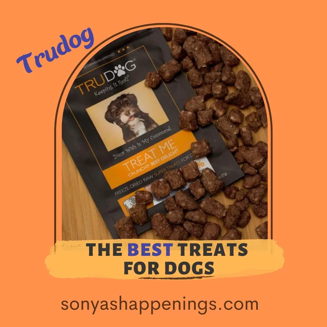 best treats for dogs