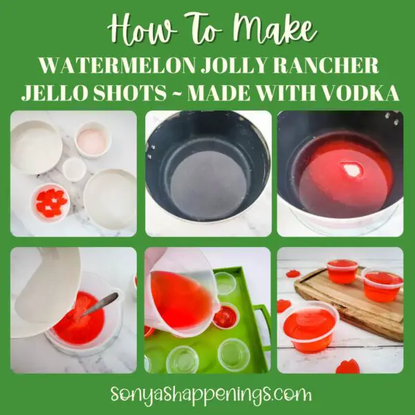 vodka jello shots process photos