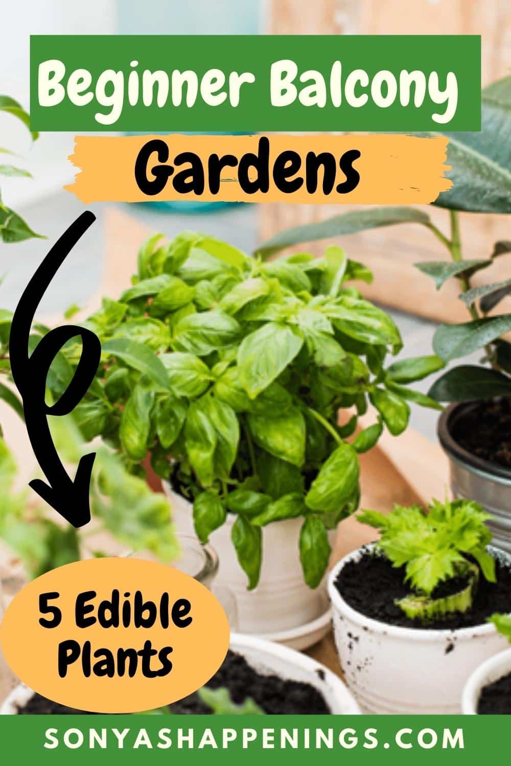 5 Edible Plants to For Beginner Balcony Gardeners