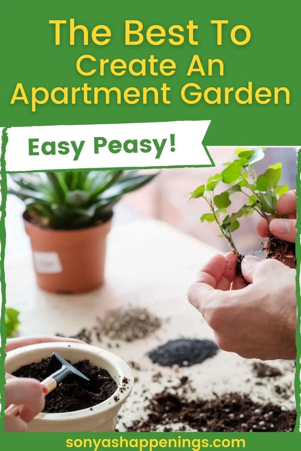 The Best Way To Create An Apartment Garden