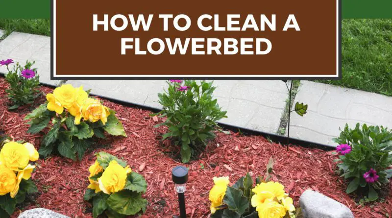 flower bed cleanup