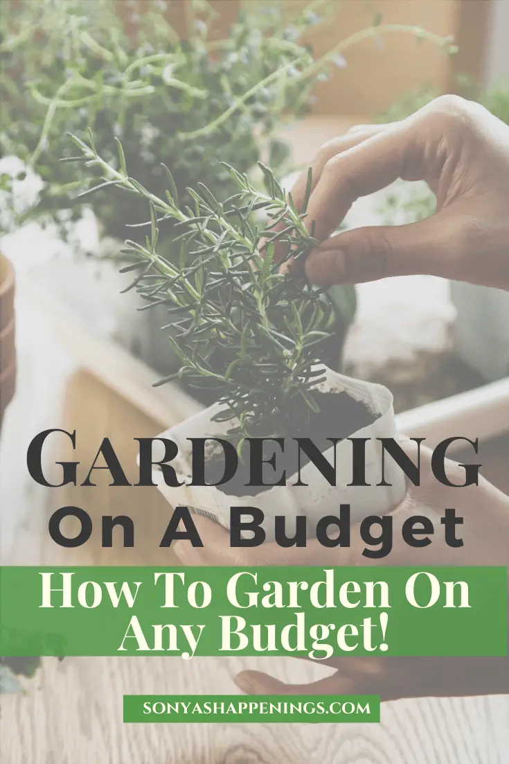 Gardening On A Budget ~ It Can Be Done!