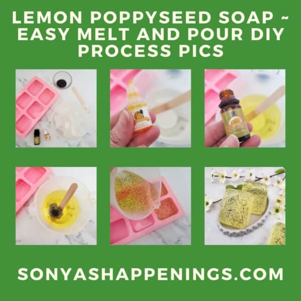 poppyseed melt and pour soap