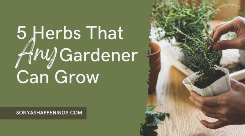 easy herbs to grow at home